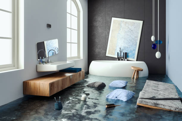 Best Local water damage restoration  in Reisterstown, MD