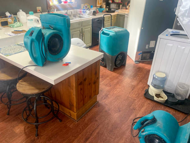 Best Commercial water damage restoration  in Reisterstown, MD