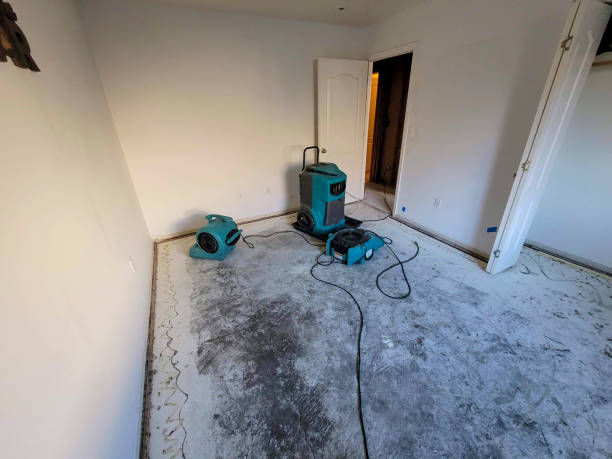 Best Basement water damage restoration  in Reisterstown, MD