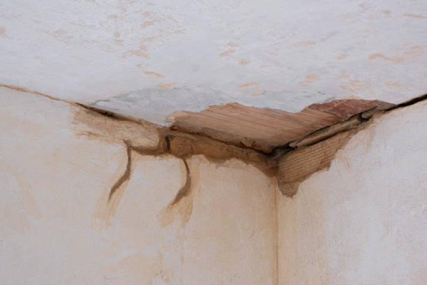 Best Professional water damage repair  in Reisterstown, MD