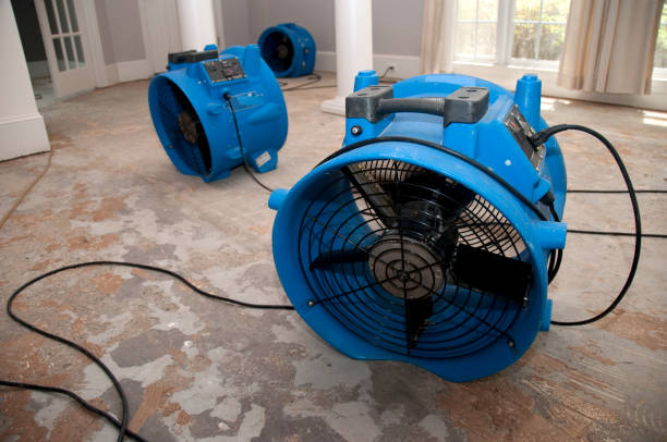 Best Sewage cleanup and water damage restoration  in Reisterstown, MD